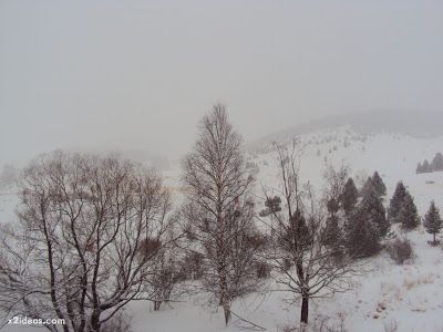 DSC01945 - Enamorados de la nieve, lástima de viento.