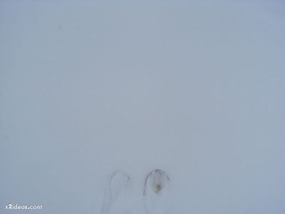 DSC01985 - Enamorados de la nieve, lástima de viento.