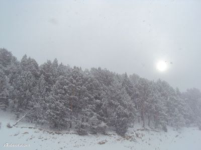 DSC01995 - Enamorados de la nieve, lástima de viento.