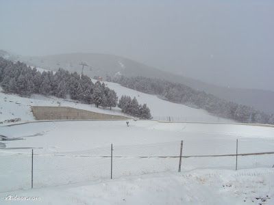 DSC02001 - Enamorados de la nieve, lástima de viento.