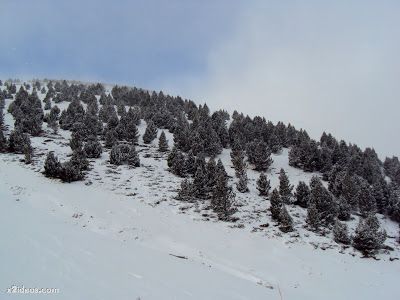 DSC02013 - Enamorados de la nieve, lástima de viento.