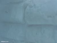 P1330285 - En Llanos del Hospital si que nevó ...