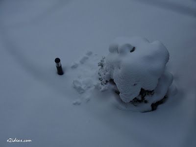 P1330819 - De la sequía a estar enterrados ... nieve.