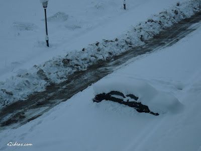 P1330831 - De la sequía a estar enterrados ... nieve.
