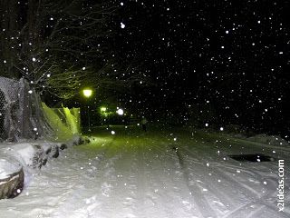 P1410945 - La nevada del trece ...