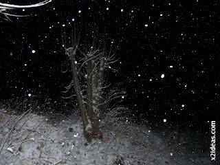 P1410950 - La nevada del trece ...
