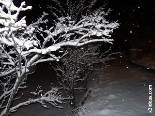 P1410995 - La nevada del trece ...