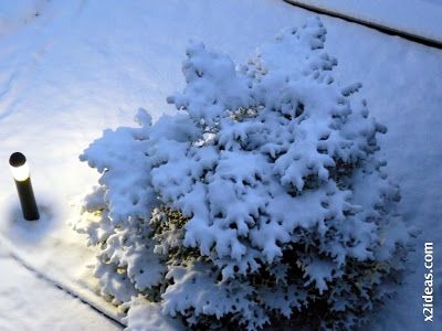 P1420453 - Nevó y lo que queda esta semana por llegar.