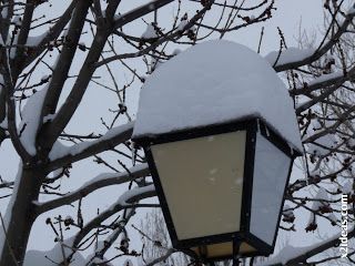 P1420545 - Tercer día de nevada continuada. 2ª parte.
