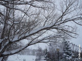 P1420547 - Tercer día de nevada continuada. 2ª parte.