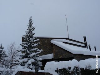 P1420551 - Tercer día de nevada continuada. 2ª parte.