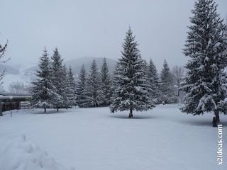 P1420555 - Tercer día de nevada continuada. 2ª parte.