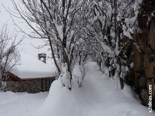 P1420580 - Tercer día de nevada continuada. 2ª parte.