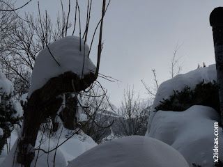 P1420623 - Tercer día de nevada continuada. 2ª parte.