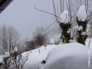 P1420627 - Tercer día de nevada continuada. 2ª parte.