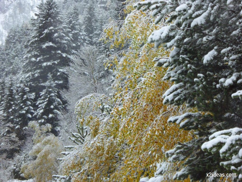 P1040292 1024x768 - Noviembre empieza con nieve en Cerler y el Valle de Benasque.