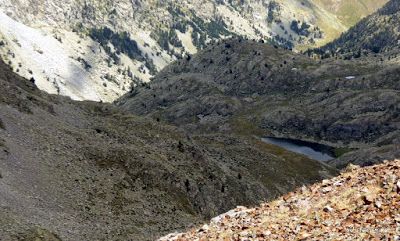 P1140826 - Tuxal de Bocs, Valle de Benasque, Pirineos.