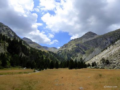 P1140873 - Tuxal de Bocs, Valle de Benasque, Pirineos.