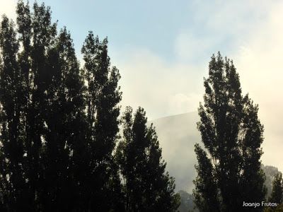 P1160133 - Primera nevada de septiembre. Valle de Benasque.