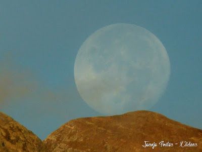 P1160702 - Lunas de Otoño. Valle de Benasque