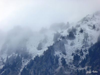 P1170477 - Primera nevada de noviembre en Cerler.