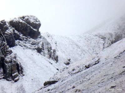 P1170516 - Primera nevada de noviembre en Cerler.
