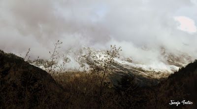 P1170528 - Primera nevada de noviembre en Cerler.