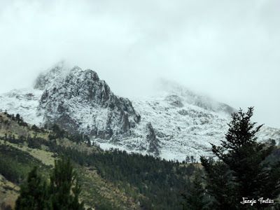 P1170529 - Primera nevada de noviembre en Cerler.