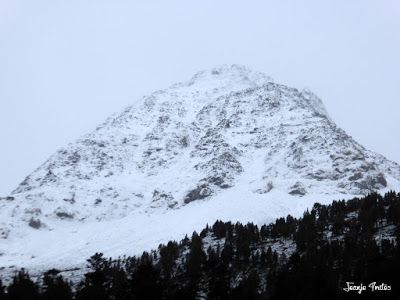 P1170542 - Primera nevada de noviembre en Cerler.