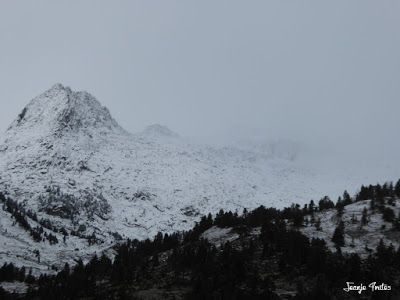 P1170555 - Primera nevada de noviembre en Cerler.
