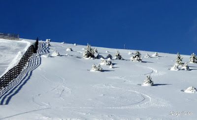 P1190337 - Sol, nieve y fotos. Cerler nevado.