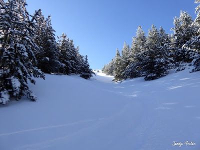 P1190338 - Sol, nieve y fotos. Cerler nevado.