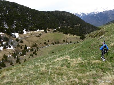 P1250241 - Nevadita en la Tuca de Castanesa 2 858m. Valle de Benasque.