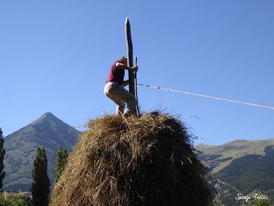 P1270452 - Montando una "Barga" o pajar en Sarllé, Valle de Benasque