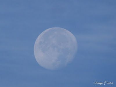 P1300259 - Seguimiento de la Luna en Cerler, Valle de Benasque.