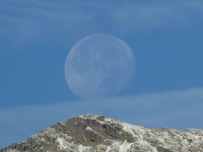 P1300262 - Seguimiento de la Luna en Cerler, Valle de Benasque.