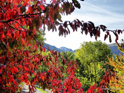 P1300293 fhdr - Colores cálidos es otoño en Cerler, Valle de Benasque.