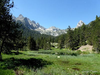 P1050428 - Ibónes de la Escarpinosa, Montes de Estós, Valle de Benasque. Pirineo.
