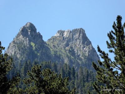 P1050438 - Ibónes de la Escarpinosa, Montes de Estós, Valle de Benasque. Pirineo.