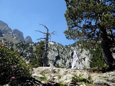 P1050486 - Ibónes de la Escarpinosa, Montes de Estós, Valle de Benasque. Pirineo.