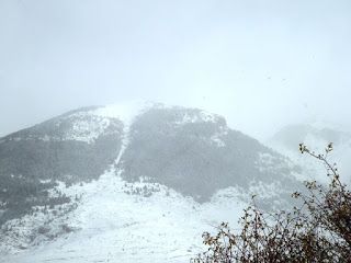 P1090094 - Primera nevada de noviembre en Cerler.