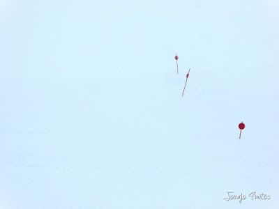 P1130042 - Colladeta-La Olla skimo por Cerler y otra vez nevando ...