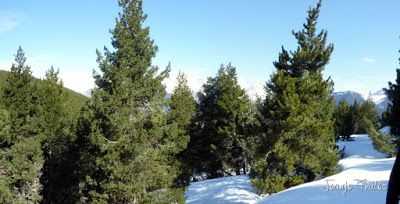 Panorama1 001 1 - Skimo por Bosque de Rincón del Cielo