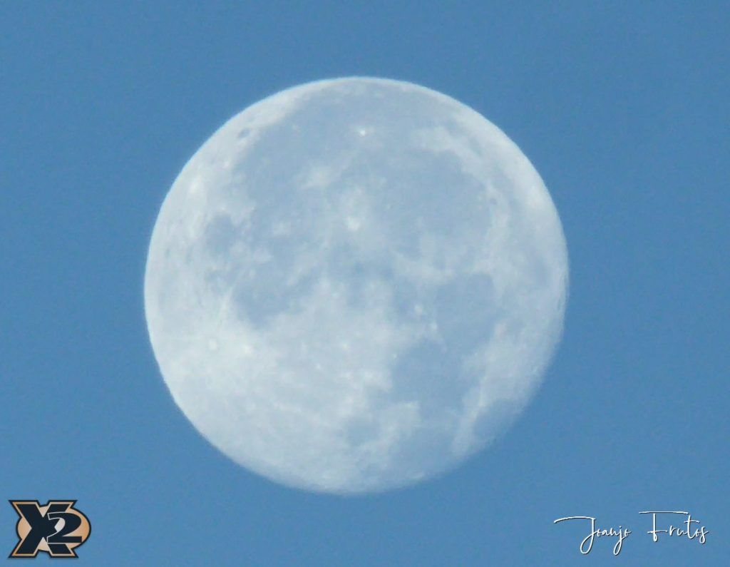 P1350787 1024x795 - Hojas de otoño con Luna Llena.