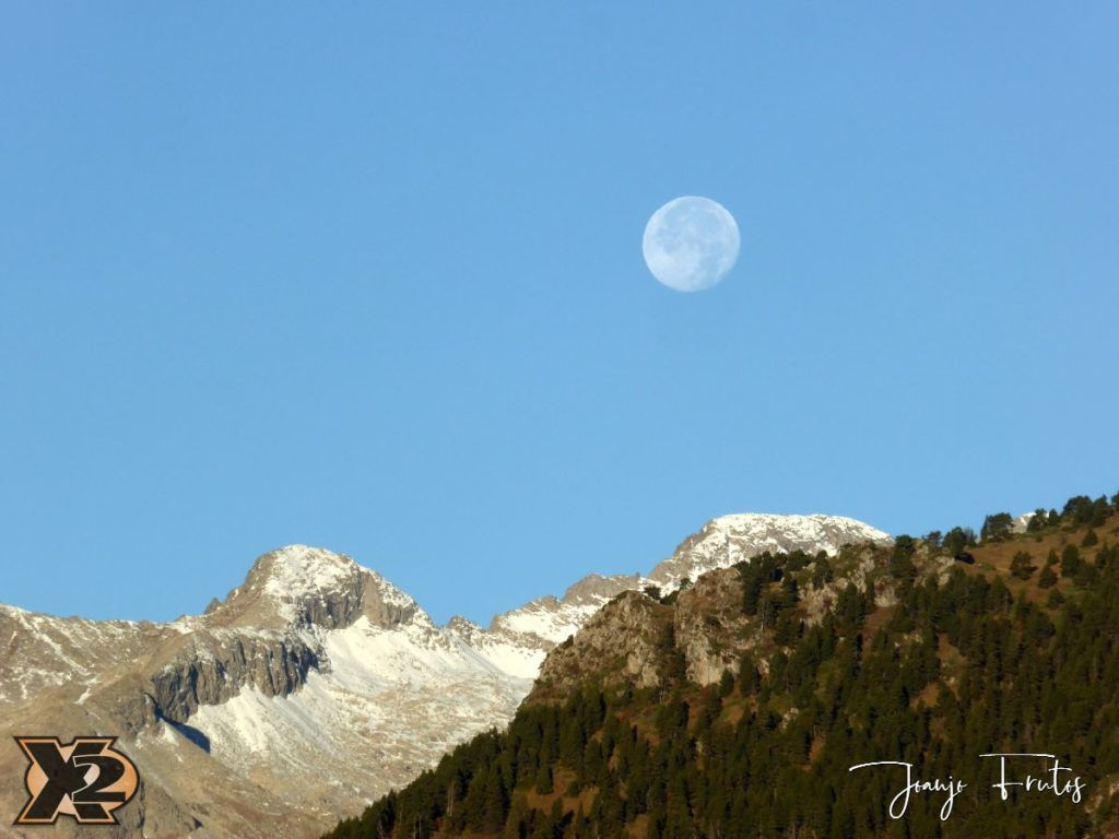 Hojas de otoño con Luna Llena.