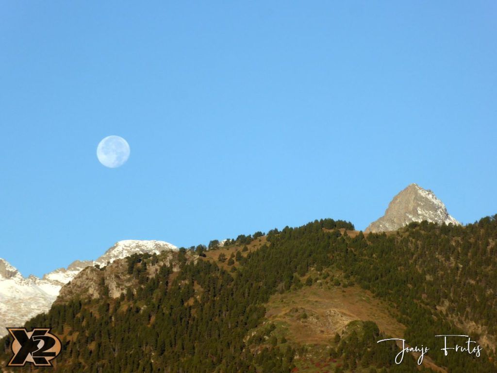 Hojas de otoño con Luna Llena.