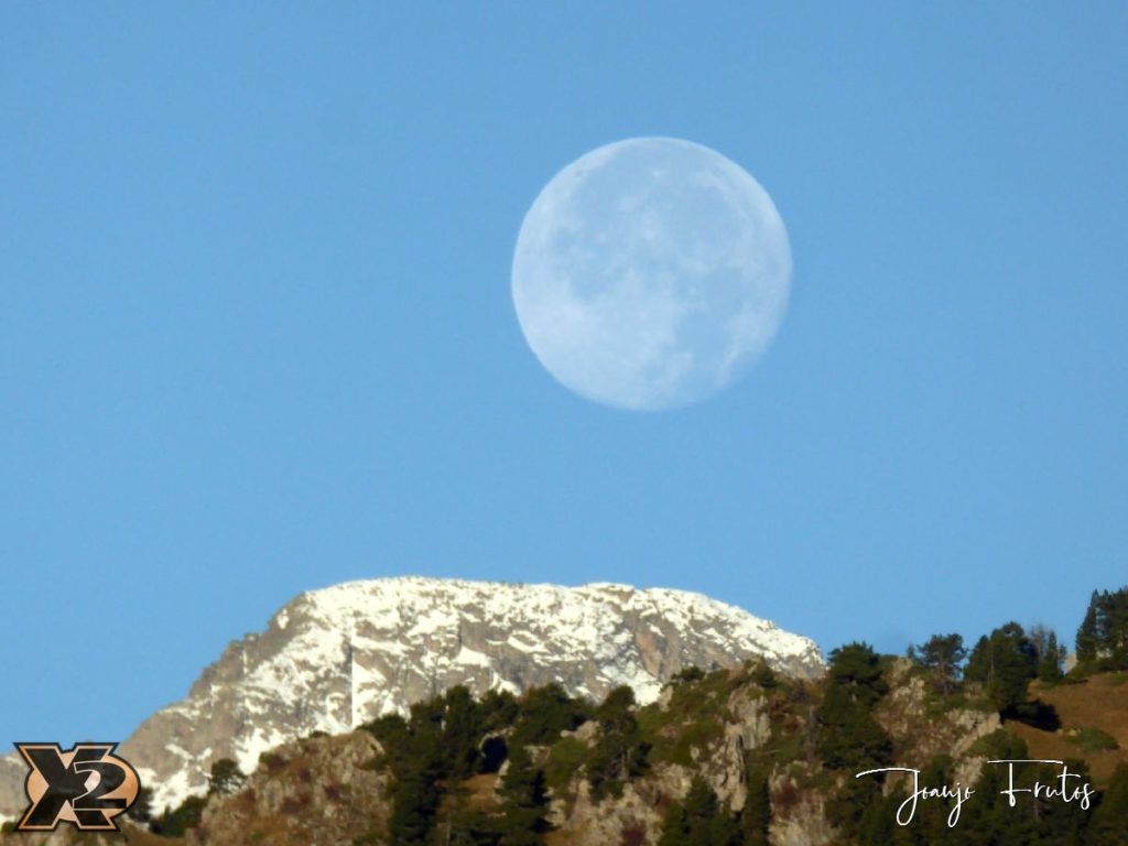 Hojas de otoño con Luna Llena.