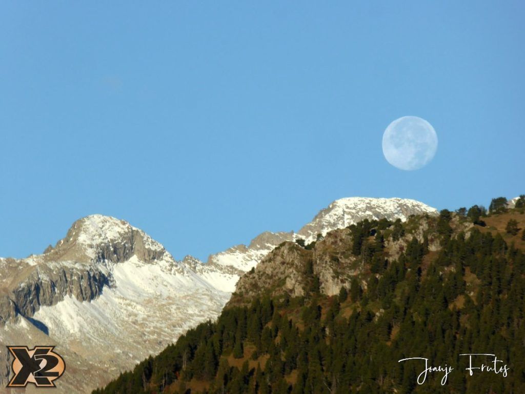 Hojas de otoño con Luna Llena.