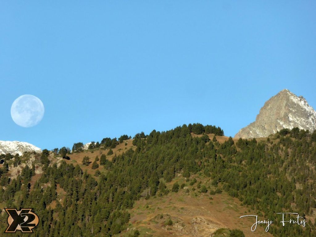 Hojas de otoño con Luna Llena.