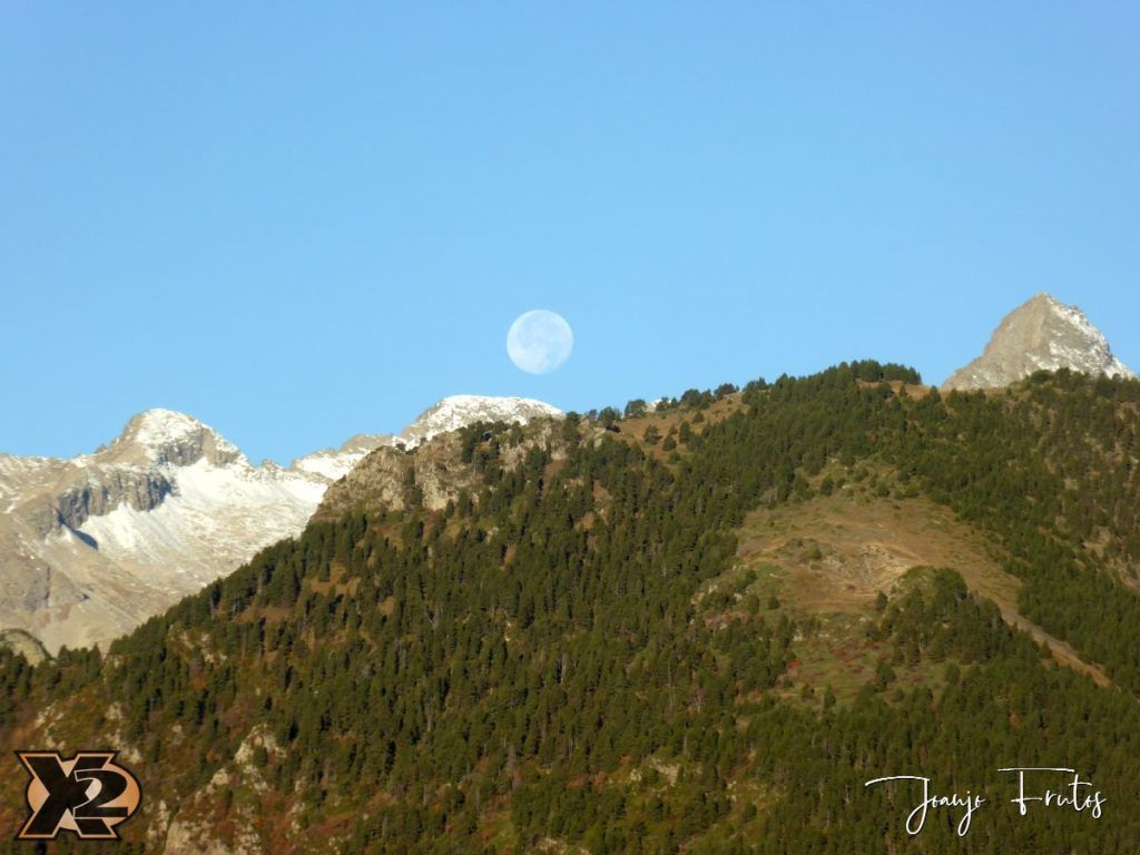 Hojas de otoño con Luna Llena.